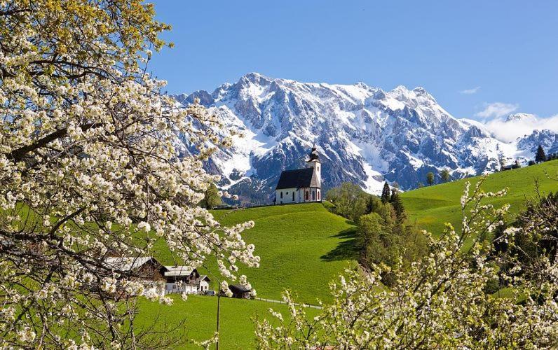 Leni'S Mountain Appartements Dienten am Hochkönig Zewnętrze zdjęcie