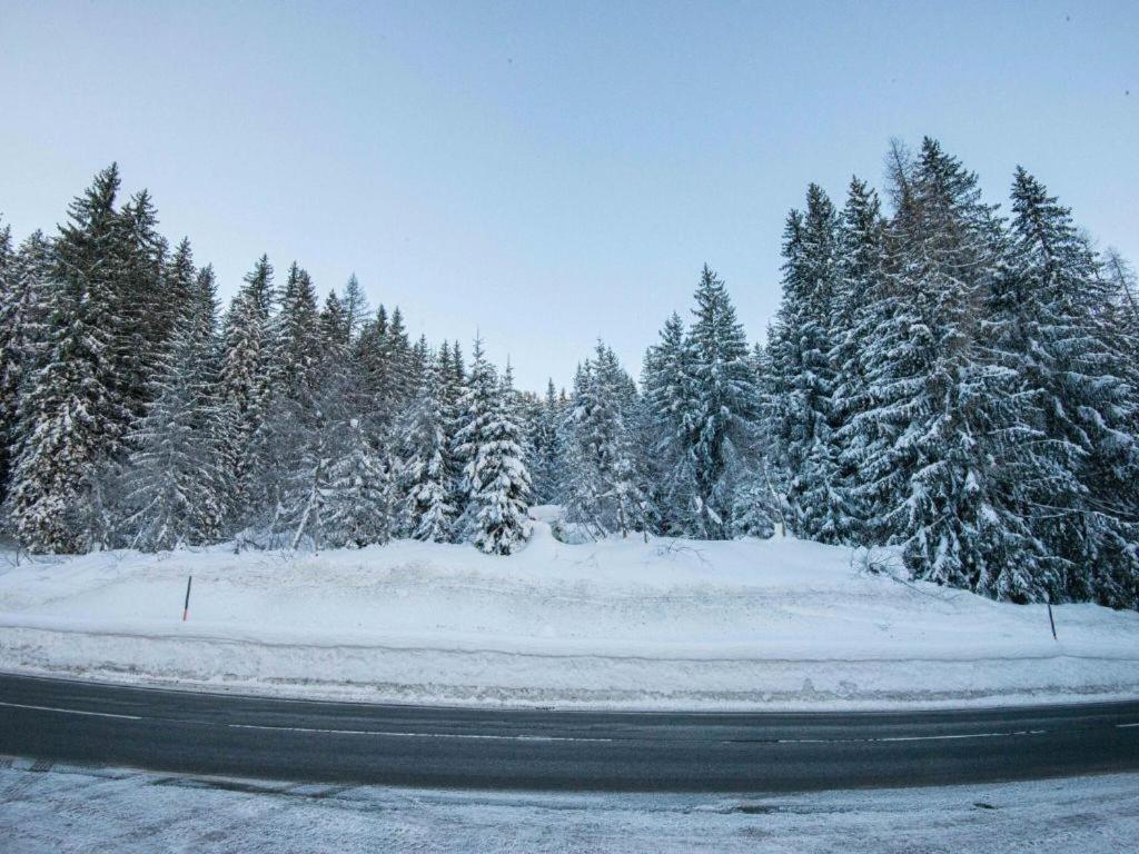 Leni'S Mountain Appartements Dienten am Hochkönig Zewnętrze zdjęcie