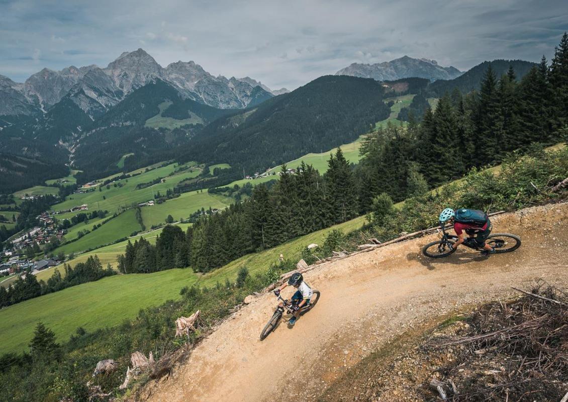 Leni'S Mountain Appartements Dienten am Hochkönig Zewnętrze zdjęcie