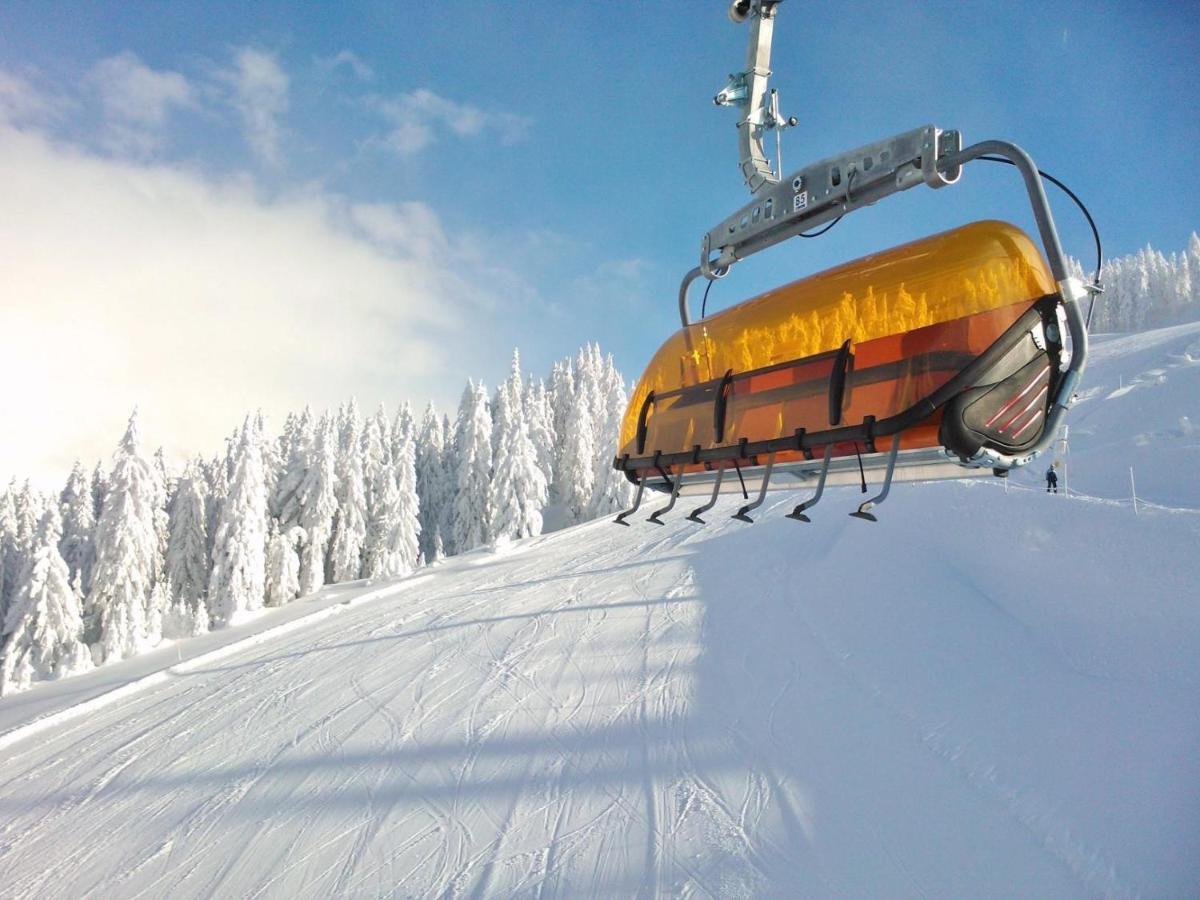 Leni'S Mountain Appartements Dienten am Hochkönig Zewnętrze zdjęcie