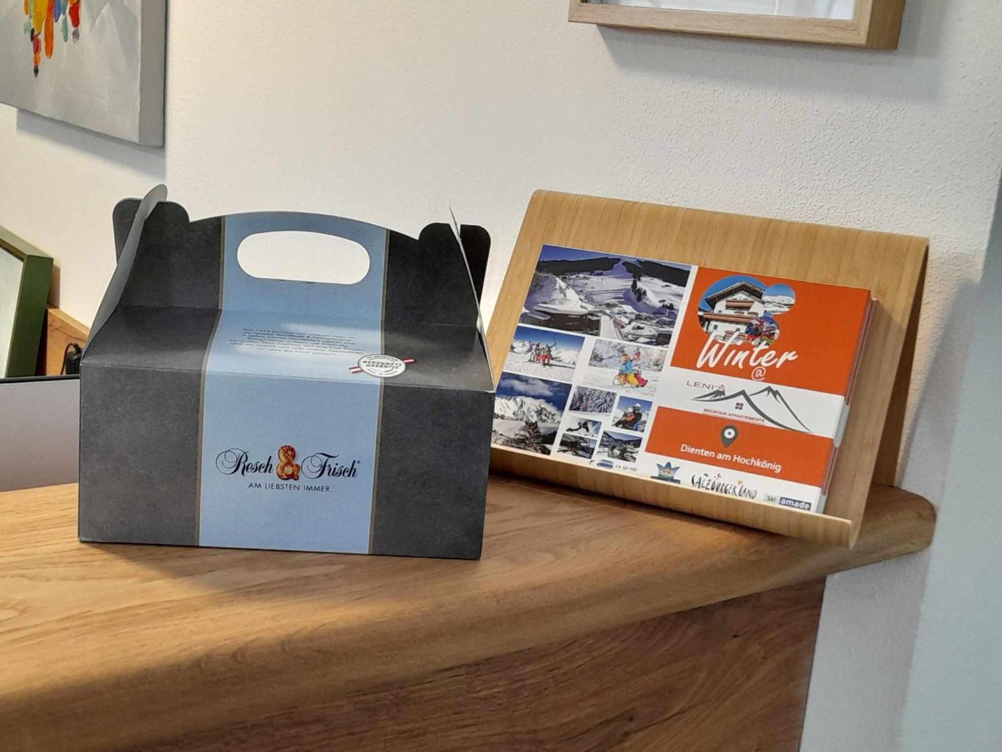 Leni'S Mountain Appartements Dienten am Hochkönig Zewnętrze zdjęcie