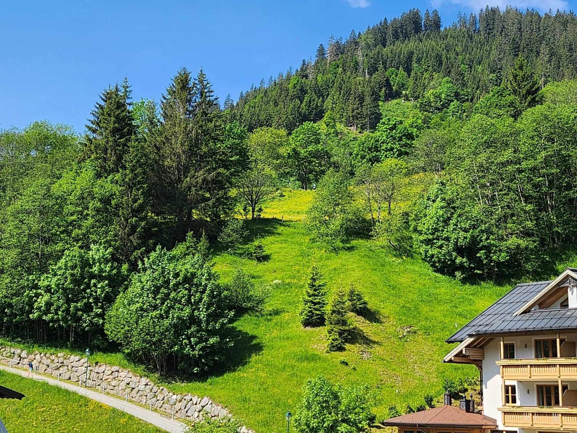 Leni'S Mountain Appartements Dienten am Hochkönig Zewnętrze zdjęcie