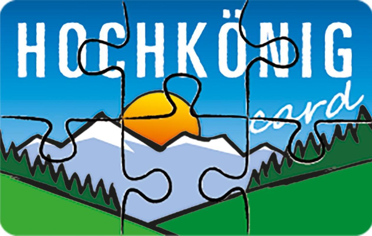 Leni'S Mountain Appartements Dienten am Hochkönig Zewnętrze zdjęcie